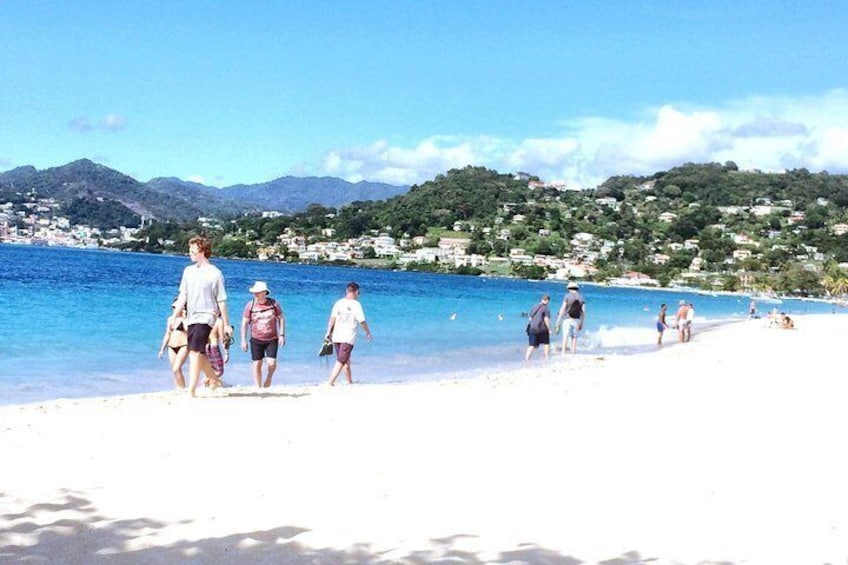 Annandale Waterfall Fort Fredrick and Beach Time at Grand Anse