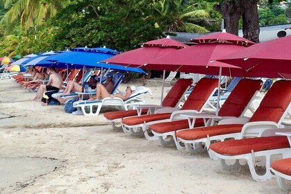 Shared Tour: Annandale Waterfalls, Forts & Grand Anse Beach.