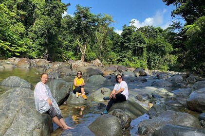 Excursión de un día a la selva tropical de El Yunque desde San Juan