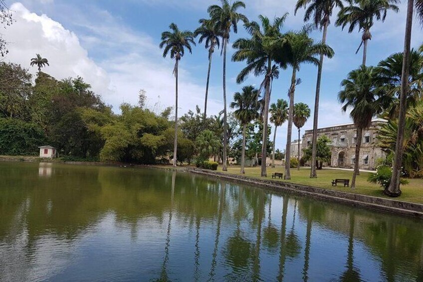 Barbados Half Day Coastal Sightseeing Private Tour