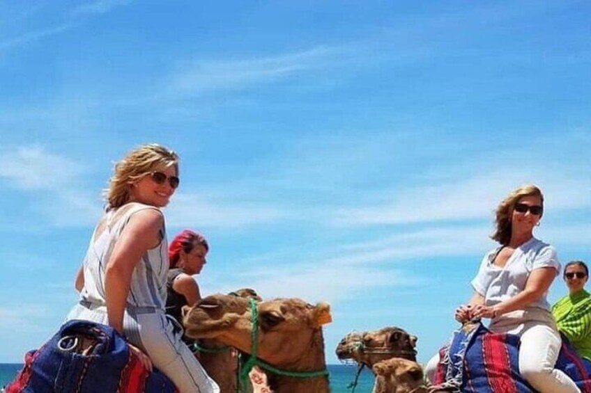 5 hours VIP tour of Tangier