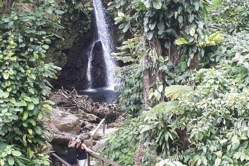 Jaco falls