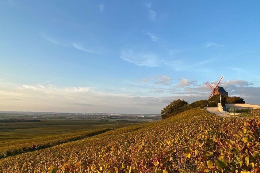Exclusive Champagne Tour ( All included ): 2 Famous houses & restaurant