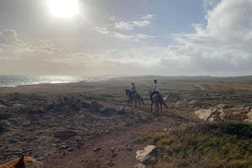 Aruba Horseback Riding Tour to Hidden Lagoon