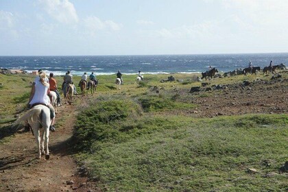 Randonnée à cheval d'Aruba à la lagune cachée