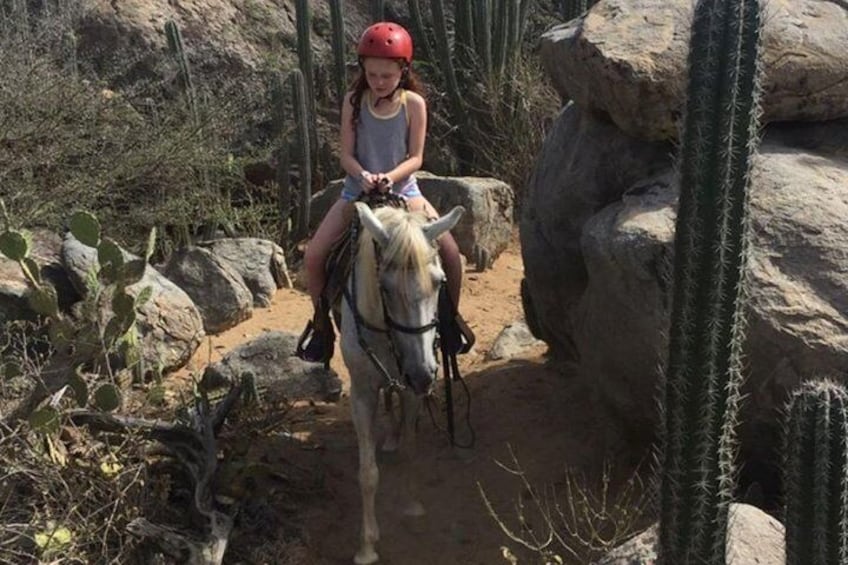 Aruba Horseback Riding Tour to Hidden Lagoon