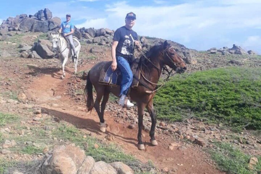 Aruba Private, 2 Hour Horseback Riding Tour For Advanced Riders