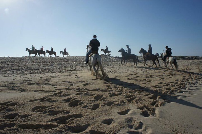 dunes Aruba