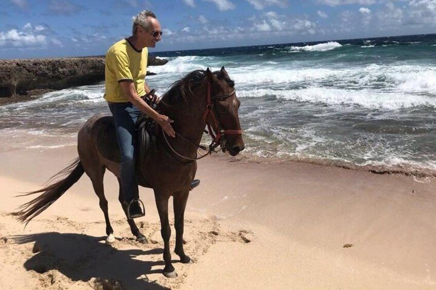 Aruba Private, 2 Hour Horseback Riding Tour For Advanced Riders
