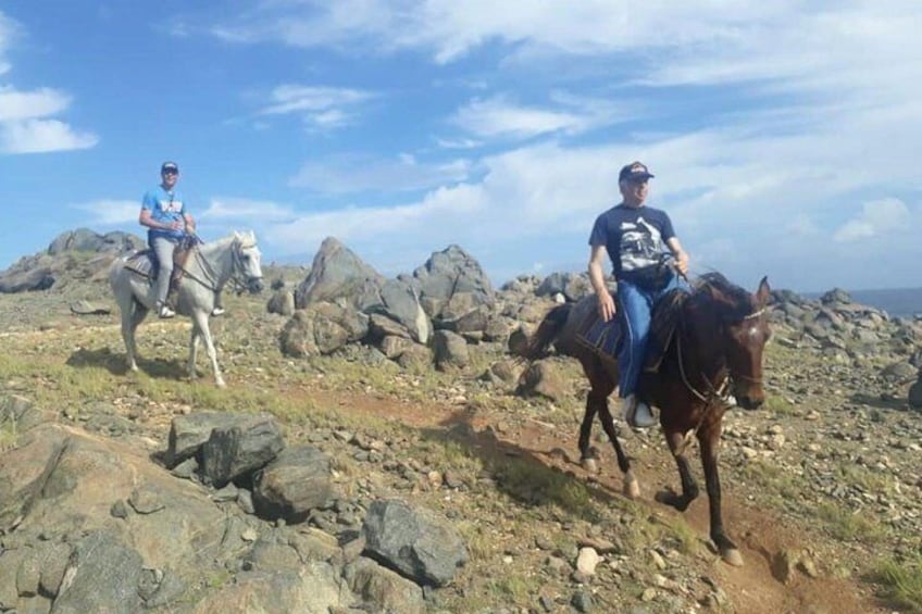 Aruba Private, 2 Hour Horseback Riding Tour For Advanced Riders