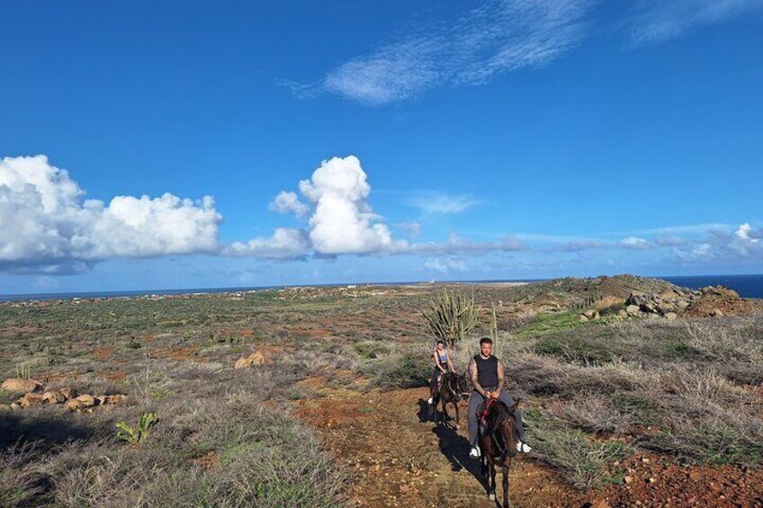 Aruba Private, 2 Hour Horseback Riding Tour For Advanced Riders
