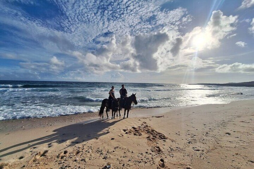 Aruba Private, 2 Hour Horseback Riding Tour For Advanced Riders