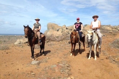 Aruba Private, 2 Hour Horseback Riding Tour For Advanced Riders