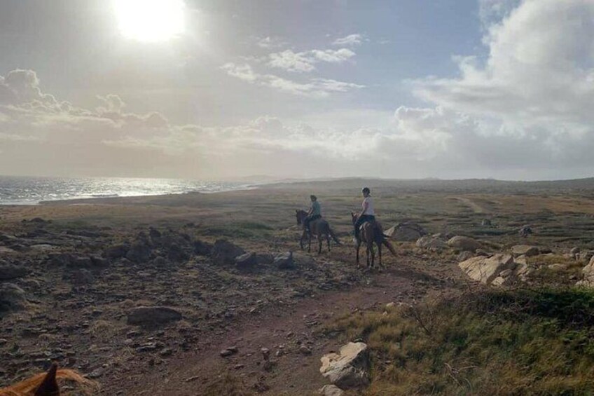 Aruba Private, 2 Hour Horseback Riding Tour For Advanced Riders
