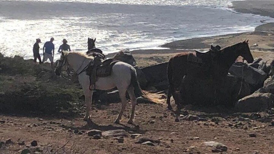 Private Sunset Horseback Ride