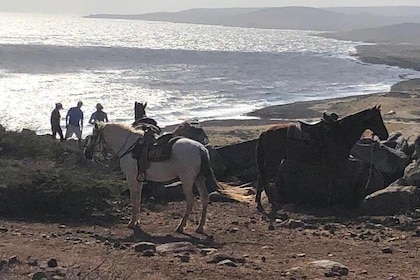 Private Sunset Horseback Ride