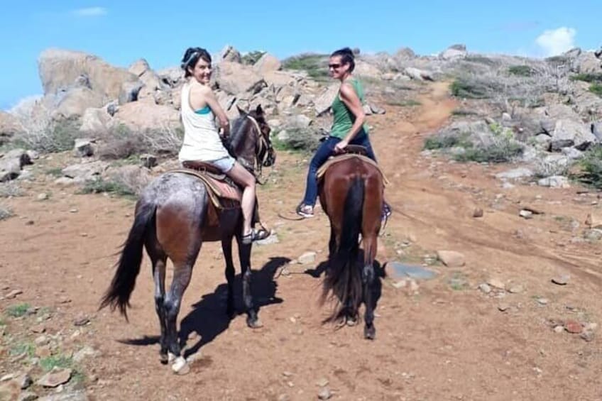 Aruba Horseback Riding Tour For Advanced Riders