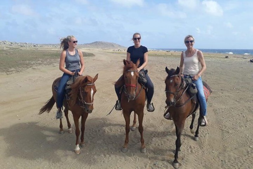 Aruba Horseback Riding Tour For Advanced Riders