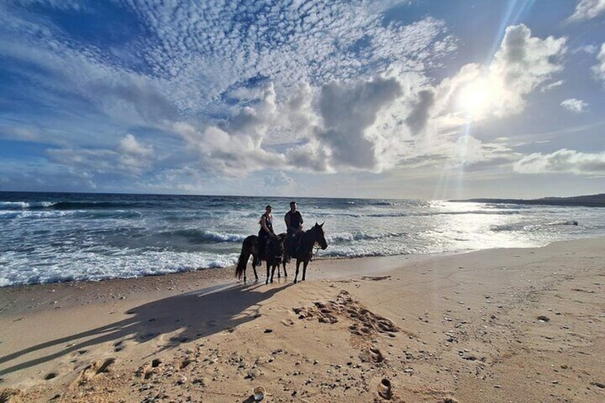 Aruba Horseback Riding Tour For Advanced Riders