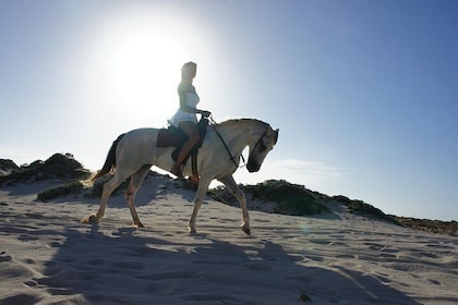 Aruba Horseback Riding Tour For Advanced Riders