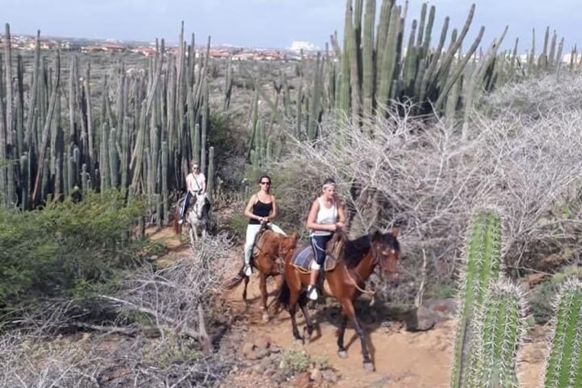 Aruba Horseback Riding Tour to Urirama Cove