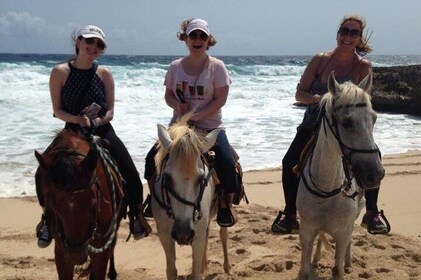 Aruba Horseback Riding Tour to Urirama Cove