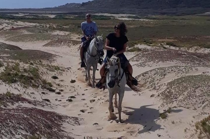 Aruba Horseback Riding Tour to Urirama Cove