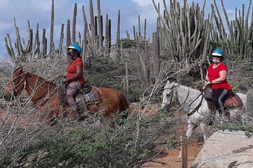 Horseback Riding 2 Hour SUNSET , Rock formation / Countryside and Beach Ride 