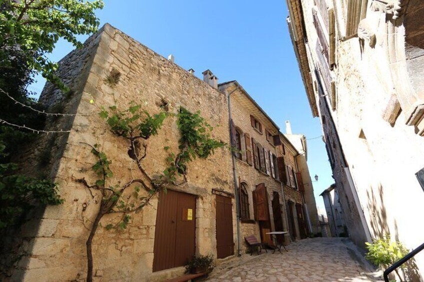 Avignon and the inspirational villages of the Vauclause - L'Isle sur la Sorgue, Fontaine de Vaucluse, bric-a-brac, antiques & renaissance frescos