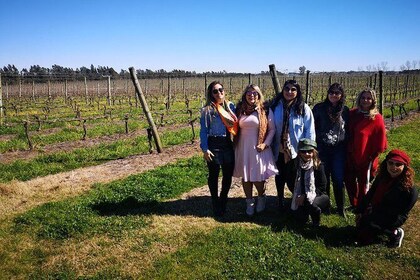 Private Winery Tour + Lunch 3 Steps + Wine Tasting (Minimum 4 people)