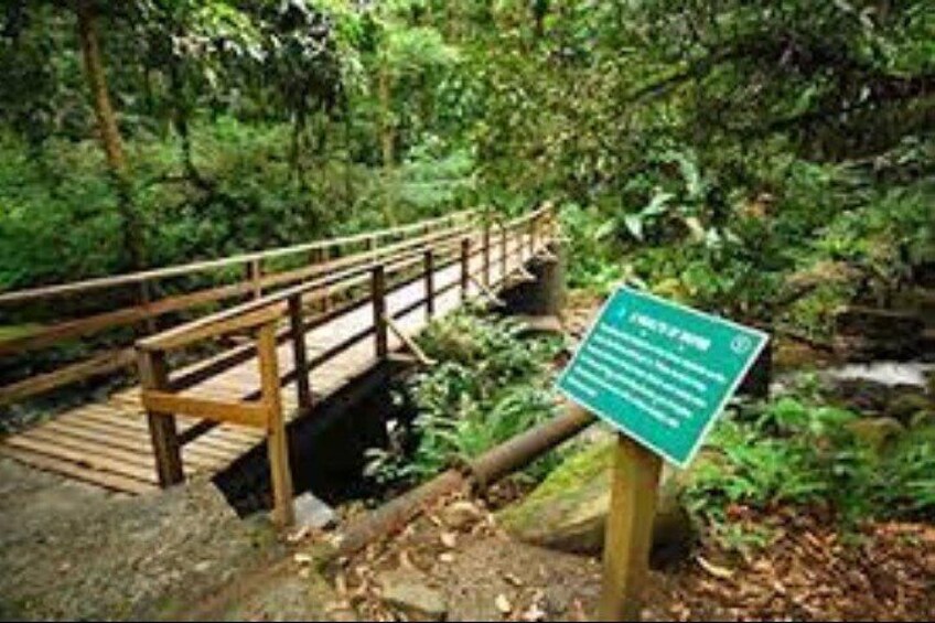Vermont Nature Trail Bridge 2