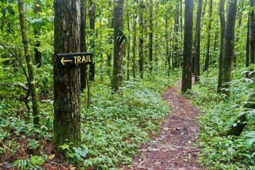 Vermont Nature Trail (Flat)