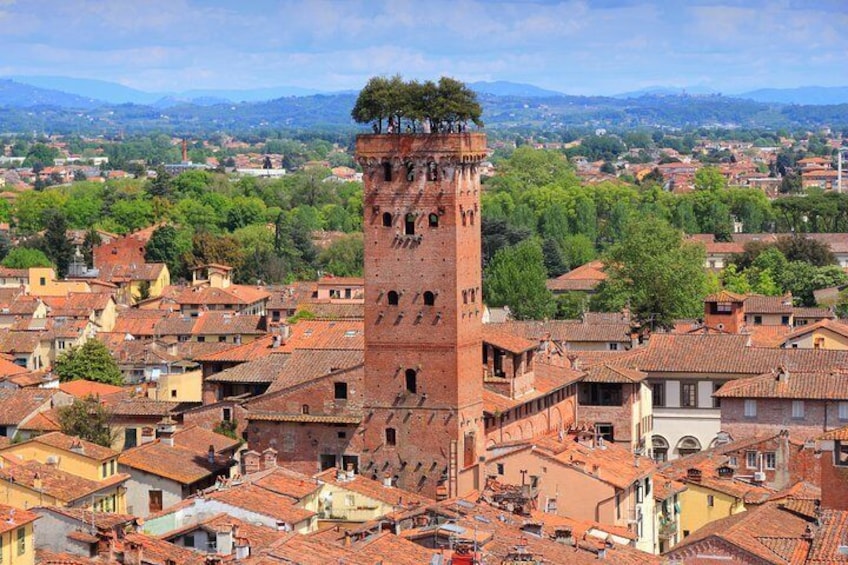 Shore Excursion from Livorno Port: Private Full day Tour Florence and Lucca 