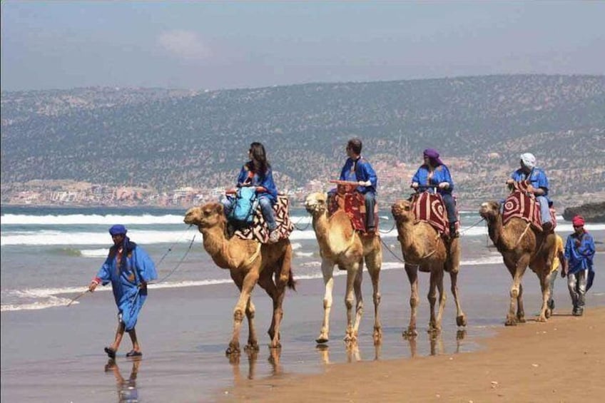 riding camels on the beach