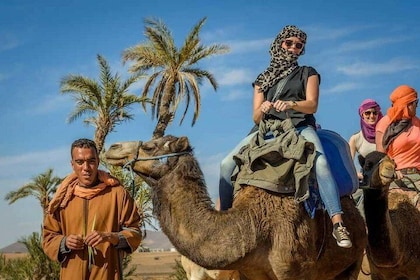 2 activity in some day in agadir camel Ride & city tour agadir