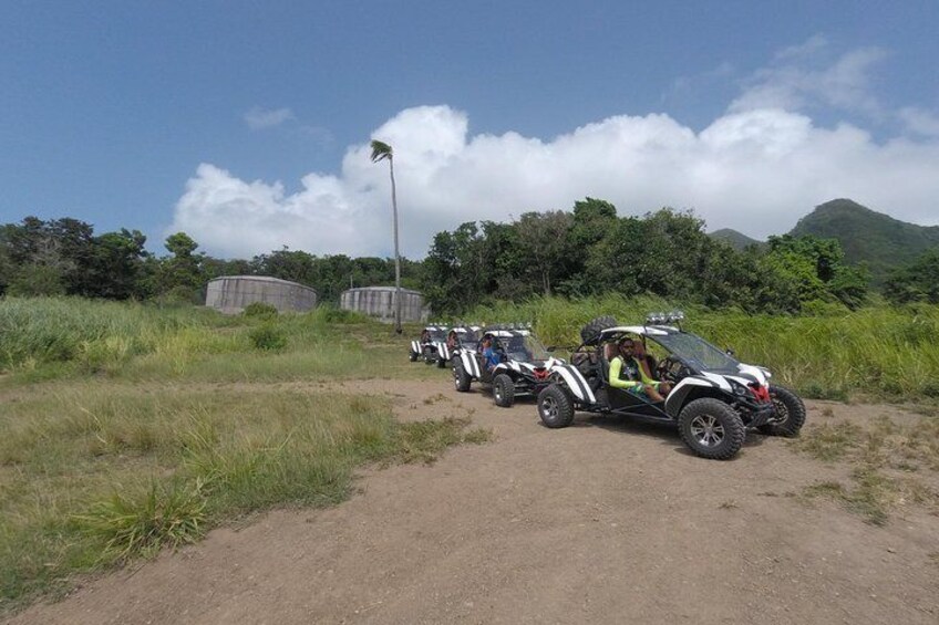 Morning buggy tour