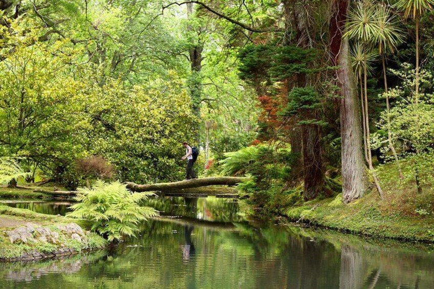 Terra Nostra Gardens-Furnas