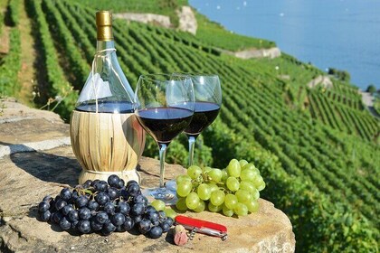 Peljesac Vineyards & Oysters - Private Day Trip from Dubrovnik-Mercedes Veh...