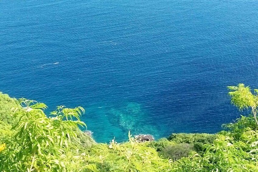 Fort Charlotte, Botanical Gardens and Kingstown Tours with Detention Tours