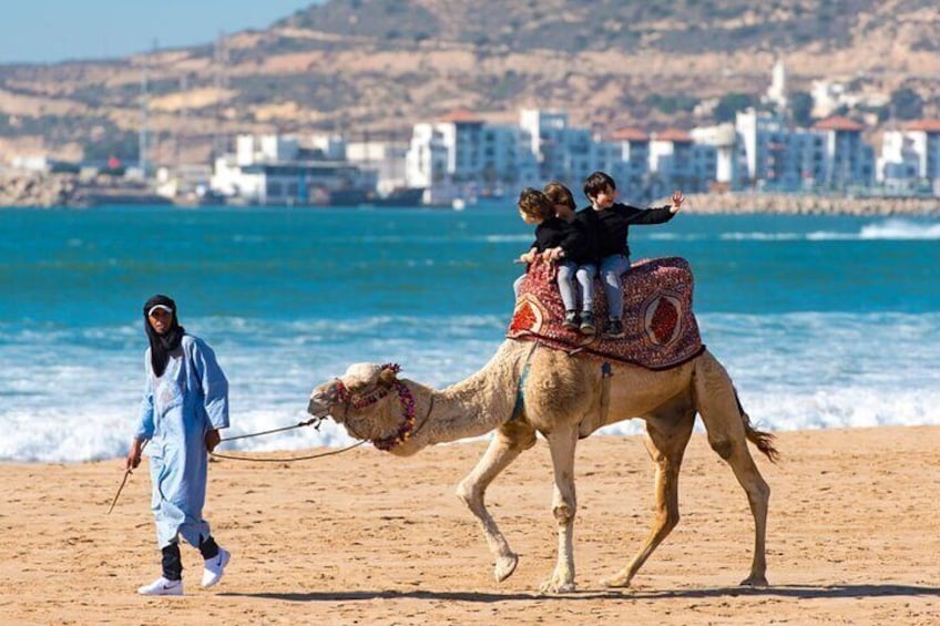 Agadir City Tour and Souk Elhad from Taghazout