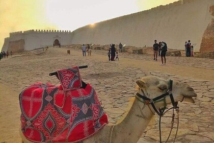 Kabelbil oplevelse med Agadir Visit