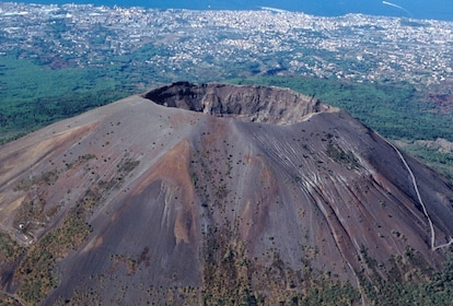 Tour privato del Vesuvio da Napoli - solo autista