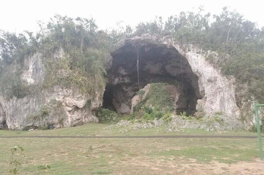 From Concrete Jungle to Actual Jungle: Private Puerto Rico Tour