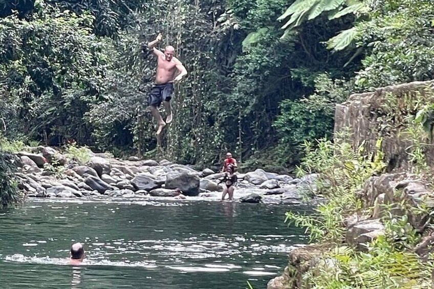 Concrete Jungle to the Actual Jungle, The Complete Package Tour