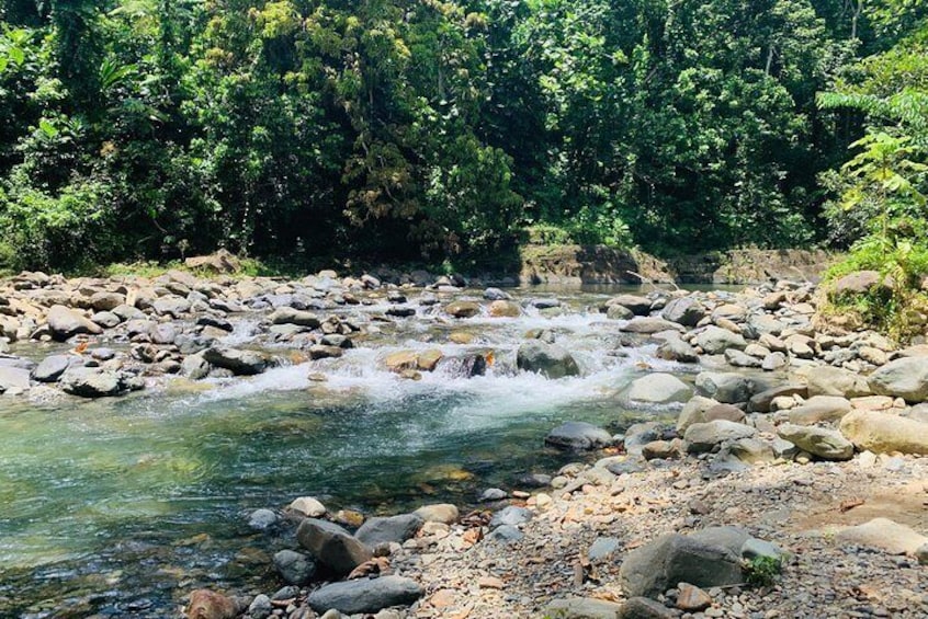 Concrete Jungle to the Actual Jungle, The Complete Package Tour