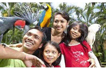 Bali Bird Park Admission Ticket With Hotel Transfer