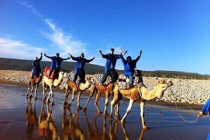 Agadir 03 hours camel riding with dinner - BBQ - 