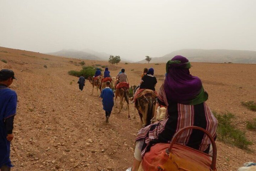  Desert Agafay and Atlas Mountains Day Tour & Camel ride From Marrakech