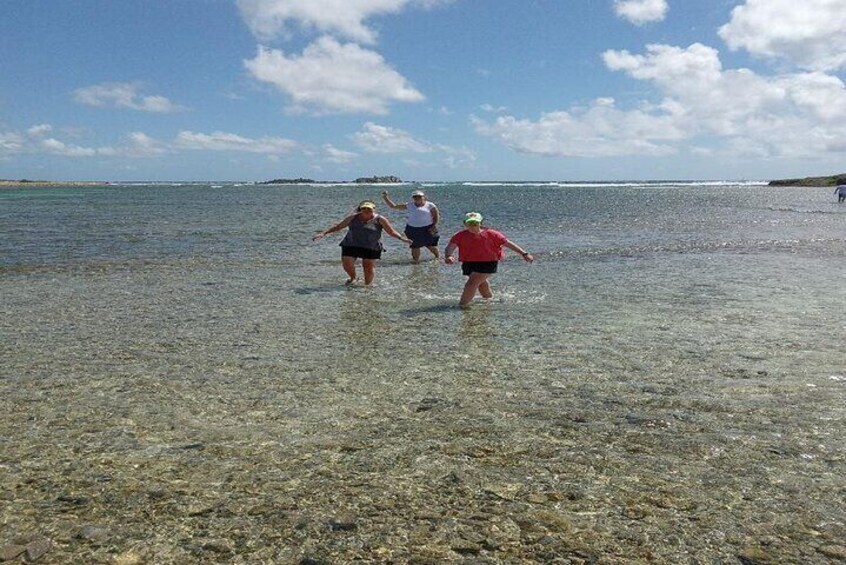 Private St Maarten Island Sightseeing Tour