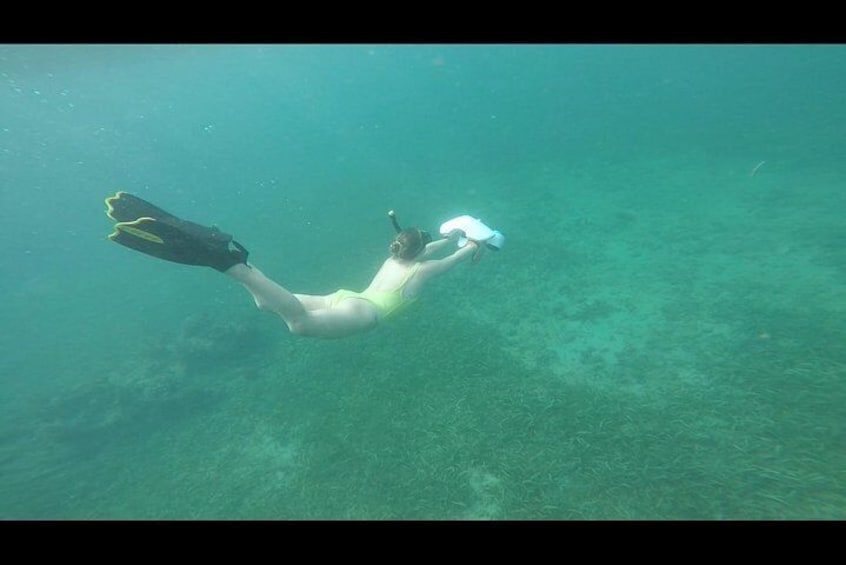 Turtle spotting snorkeling adventure- no Jets 